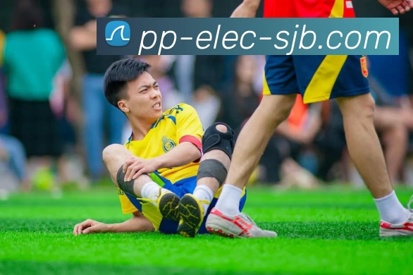 PP电子，PP电子，PP电子官网，PP电子游戏平台，PP电子APP发展历程